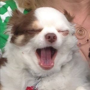 Meet your Posher, Taryn